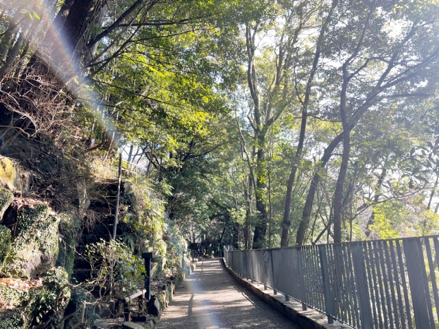 万葉公園の散策路・早春の朝の様子を撮影した写真
