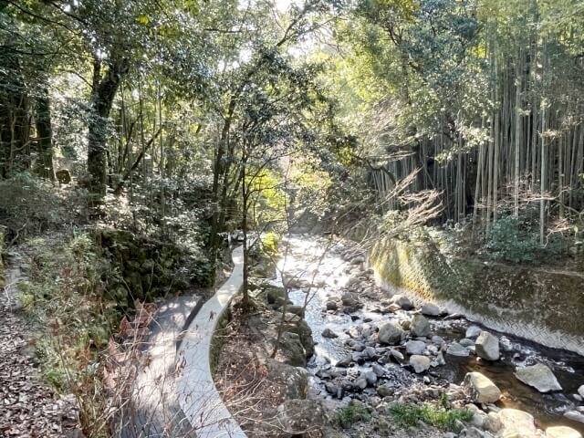 万葉公園・渓流沿いの遊歩道を撮影した写真