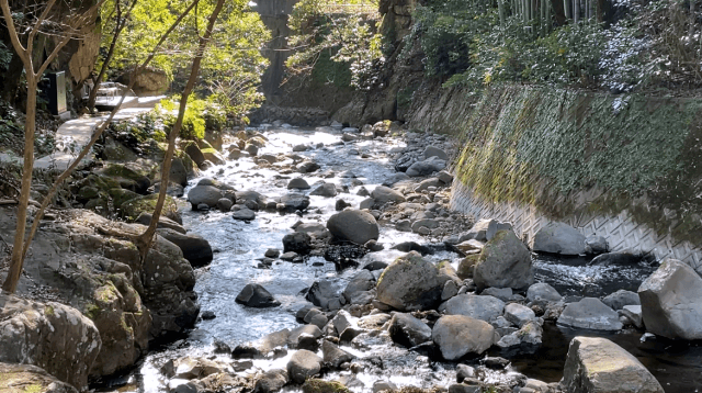 万葉公園・千歳川を撮影した写真