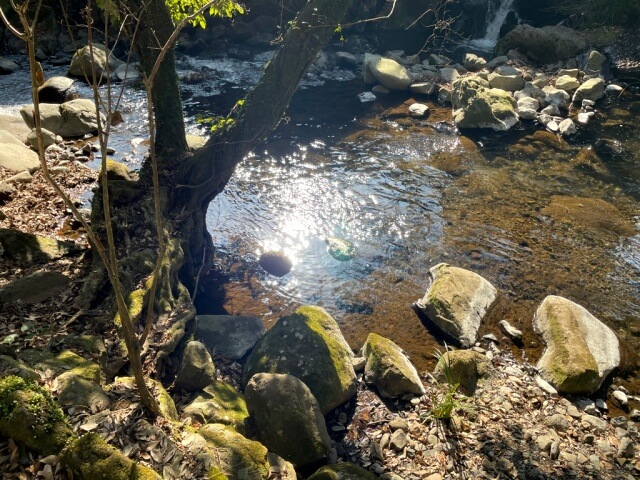万葉公園・千歳川の水面を撮影した写真