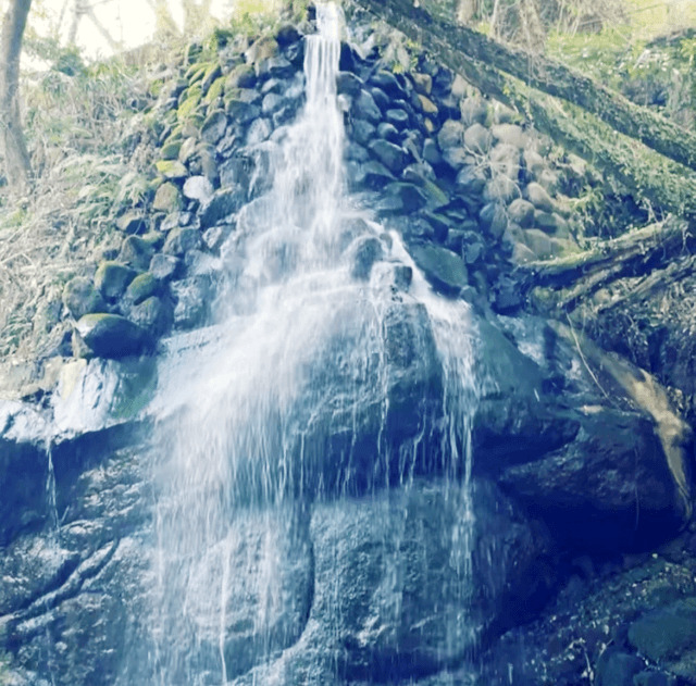 万葉公園・無名の滝を撮影した写真