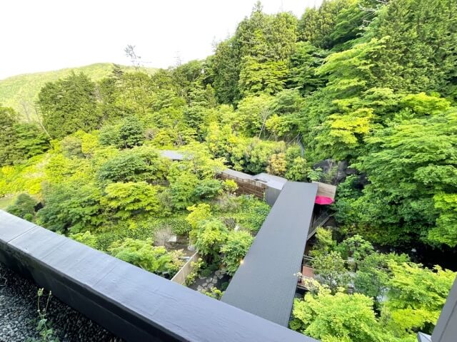 【箱根小涌園 天悠】ロビー・テラスから庭園を撮影した写真