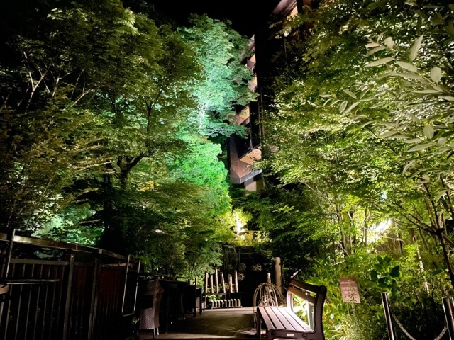 夜の庭園散策で撮影した写真