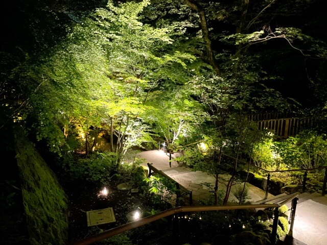バーラウンジ利用後に夜の庭園を撮影した写真
