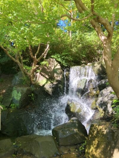 葉山しおさい公園・噴井（ふけい）の滝