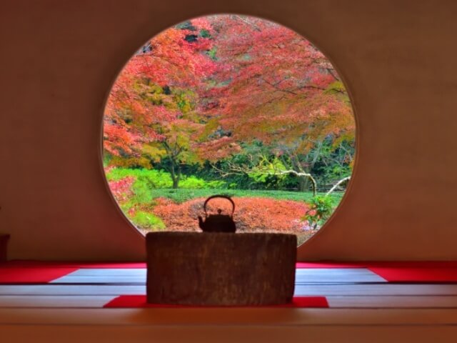 明月院・丸窓・紅葉の季節