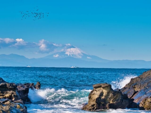 城ヶ島から見る海と富士山と渡り鳥