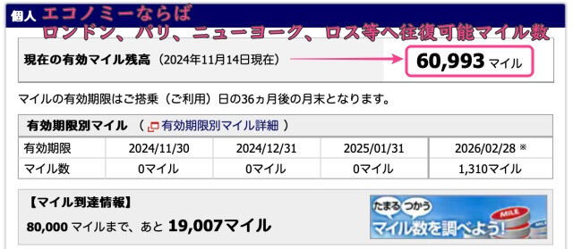 2024年11月・獲得マイル数の実績60993マイル